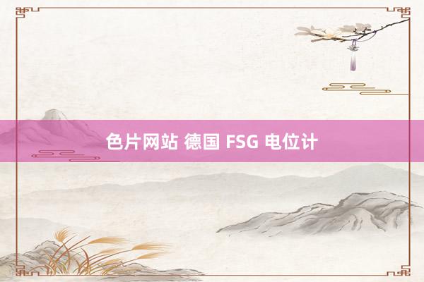 色片网站 德国 FSG 电位计