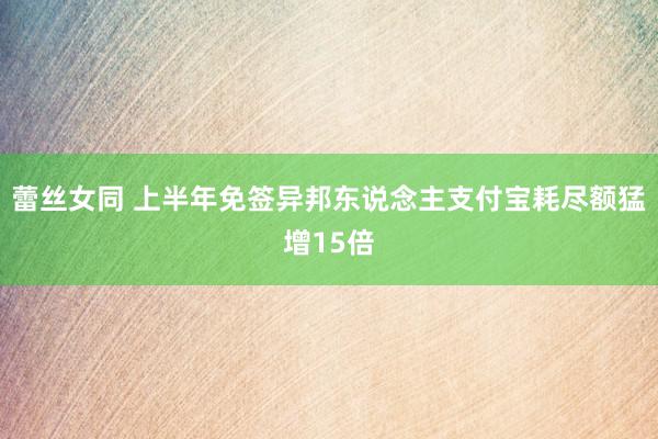 蕾丝女同 上半年免签异邦东说念主支付宝耗尽额猛增15倍