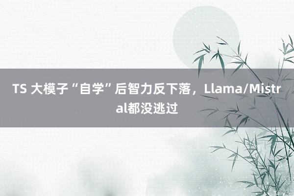 TS 大模子“自学”后智力反下落，Llama/Mistral都没逃过