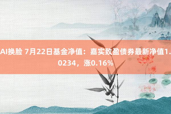 AI换脸 7月22日基金净值：嘉实致盈债券最新净值1.0234，涨0.16%