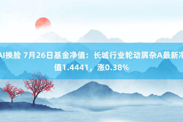 AI换脸 7月26日基金净值：长城行业轮动羼杂A最新净值1.4441，涨0.38%