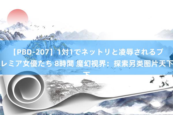 【PBD-207】1対1でネットリと凌辱されるプレミア女優たち 8時間 魔幻视界：探索另类图片天下