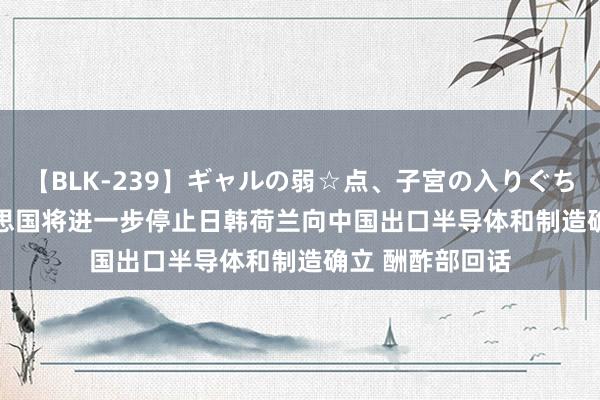 【BLK-239】ギャルの弱☆点、子宮の入りぐちぃ EMIRI 好意思国将进一步停止日韩荷兰向中国出口半导体和制造确立 酬酢部回话