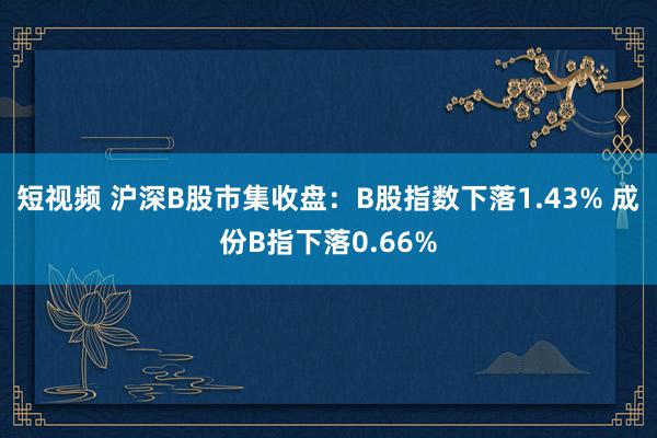 短视频 沪深B股市集收盘：B股指数下落1.43% 成份B指下落0.66%