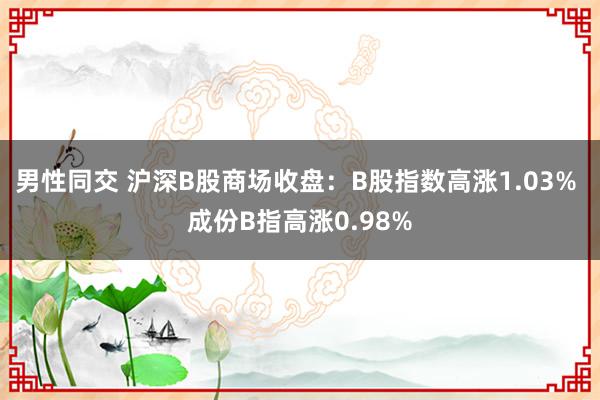 男性同交 沪深B股商场收盘：B股指数高涨1.03% 成份B指高涨0.98%