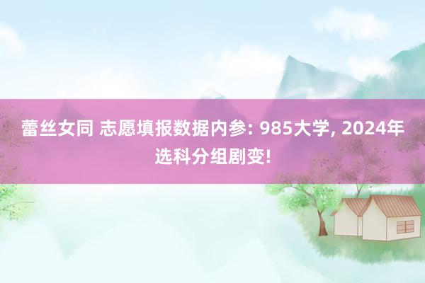 蕾丝女同 志愿填报数据内参: 985大学, 2024年选科分组剧变!