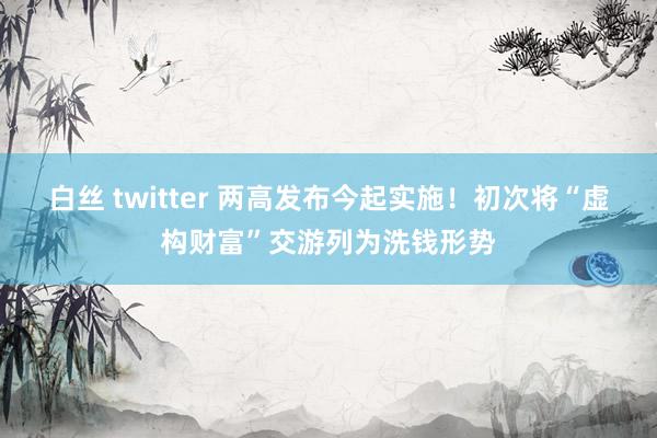 白丝 twitter 两高发布今起实施！初次将“虚构财富”交游列为洗钱形势