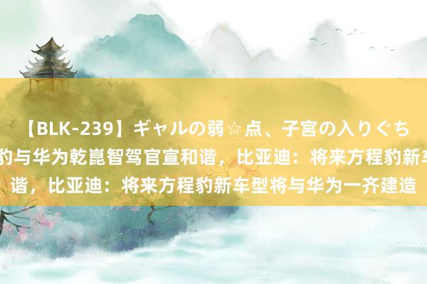 【BLK-239】ギャルの弱☆点、子宮の入りぐちぃ EMIRI 比亚迪方程豹与华为乾崑智驾官宣和谐，比亚迪：将来方程豹新车型将与华为一齐建造