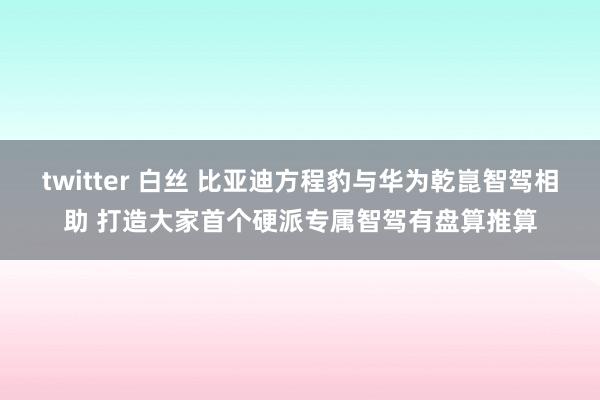 twitter 白丝 比亚迪方程豹与华为乾崑智驾相助 打造大家首个硬派专属智驾有盘算推算