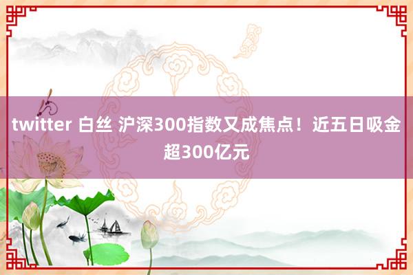 twitter 白丝 沪深300指数又成焦点！近五日吸金超300亿元